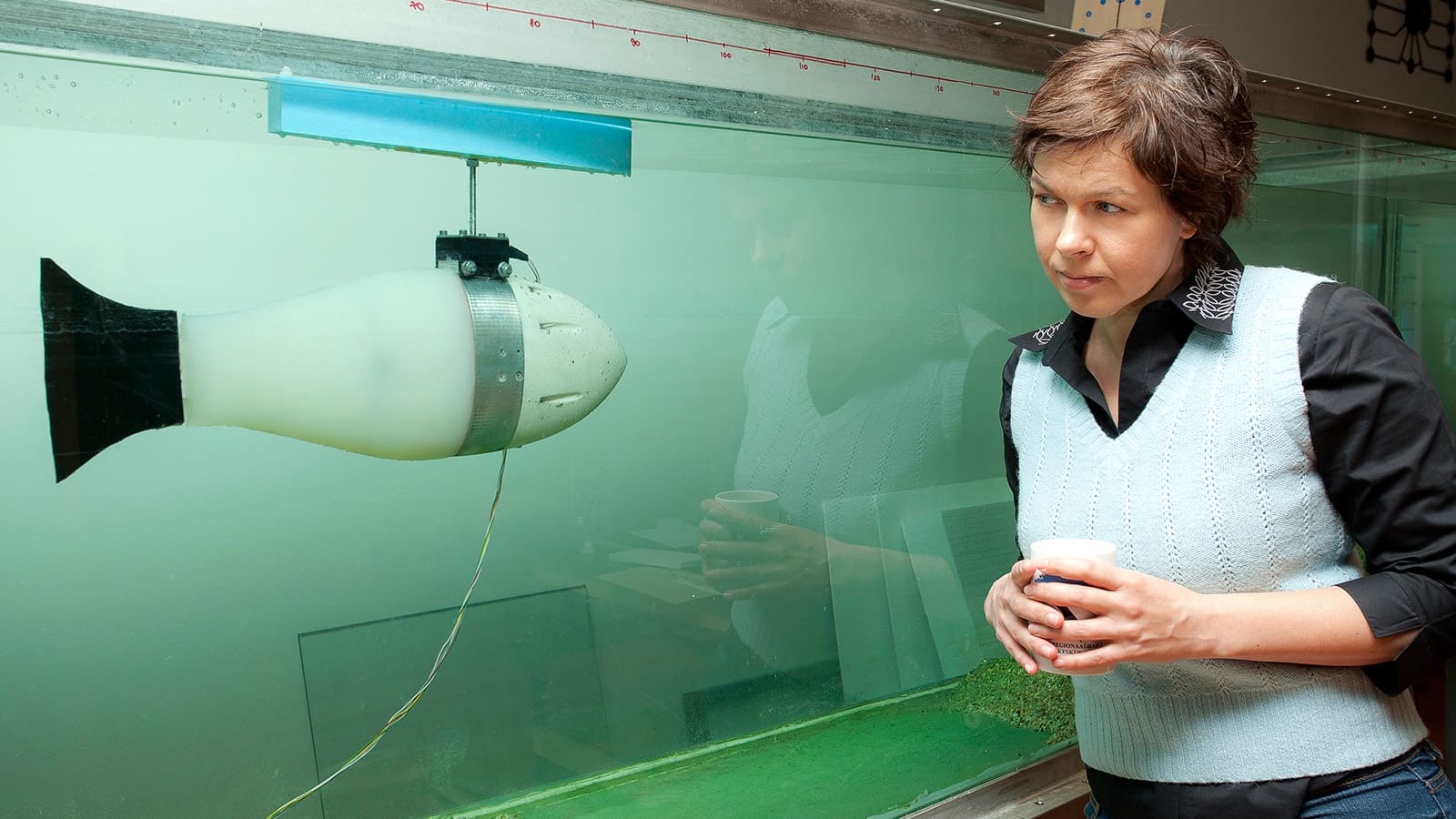 Professori Maarja Kruusmaa katsoo robottikalaa akvaariossa