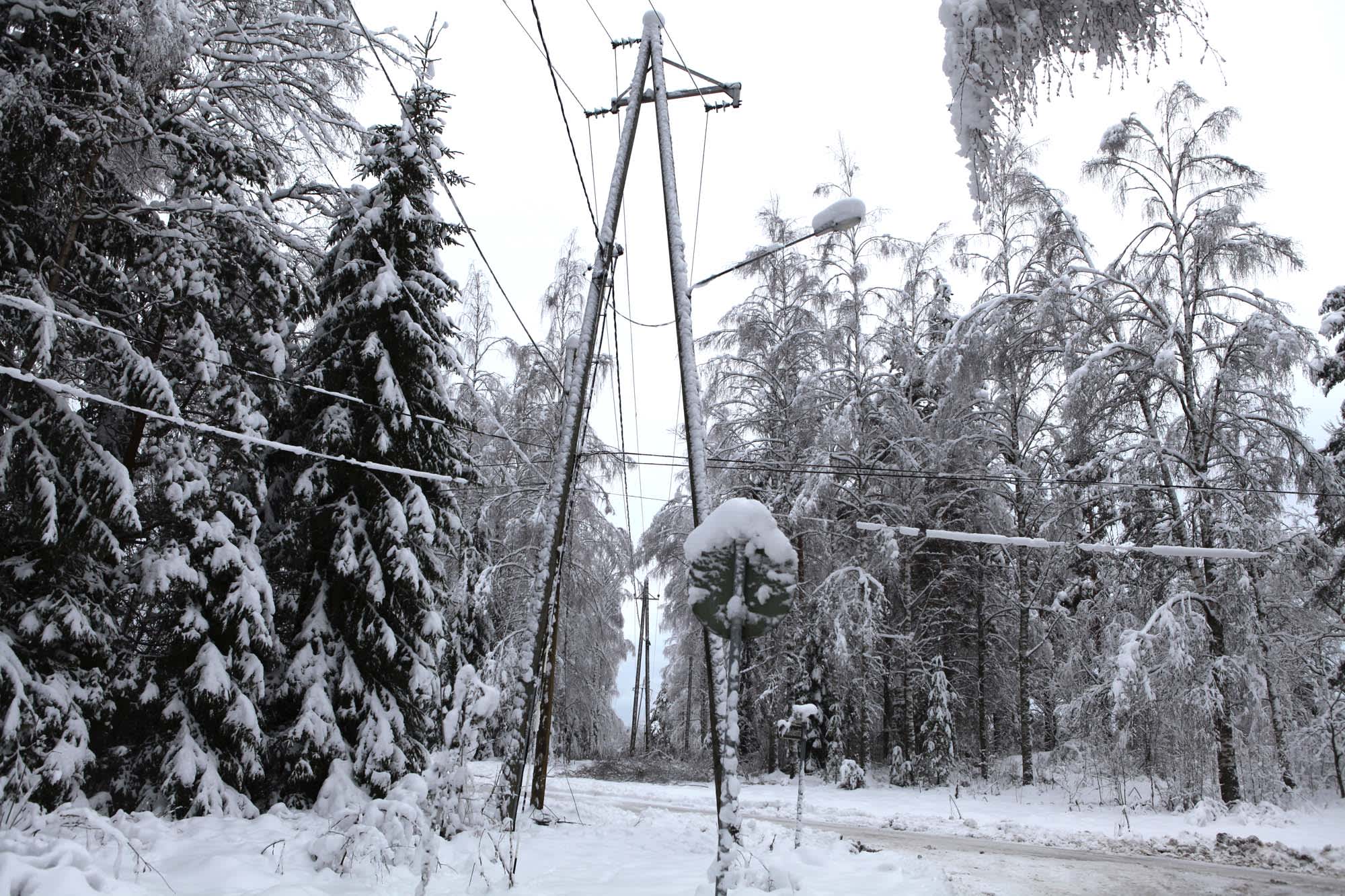 Lumi painaa puita sähkölinjoille.
