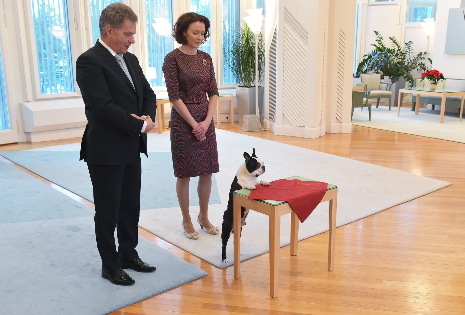 Presidentti Sauli Niinistö, rouva Jenni Haukio ja koira Lennu ottivat vastaan joulutervehdyksiä Mäntyniemessä 15. joulukuuta.