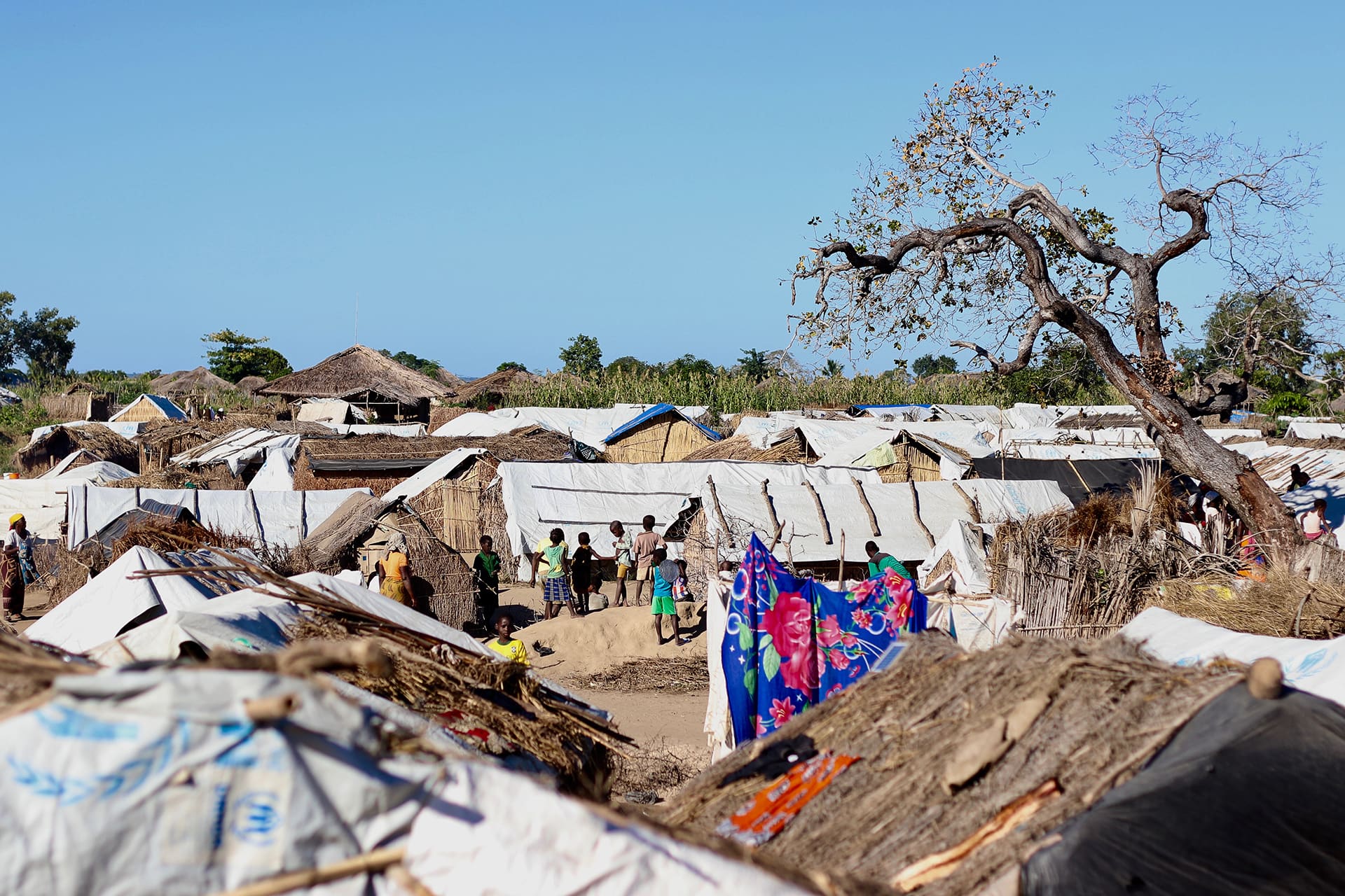 Cabo Delgadon väestöstä pian puolet pakenee raakaa väkivaltaa maakunnan pohjoisosissa.