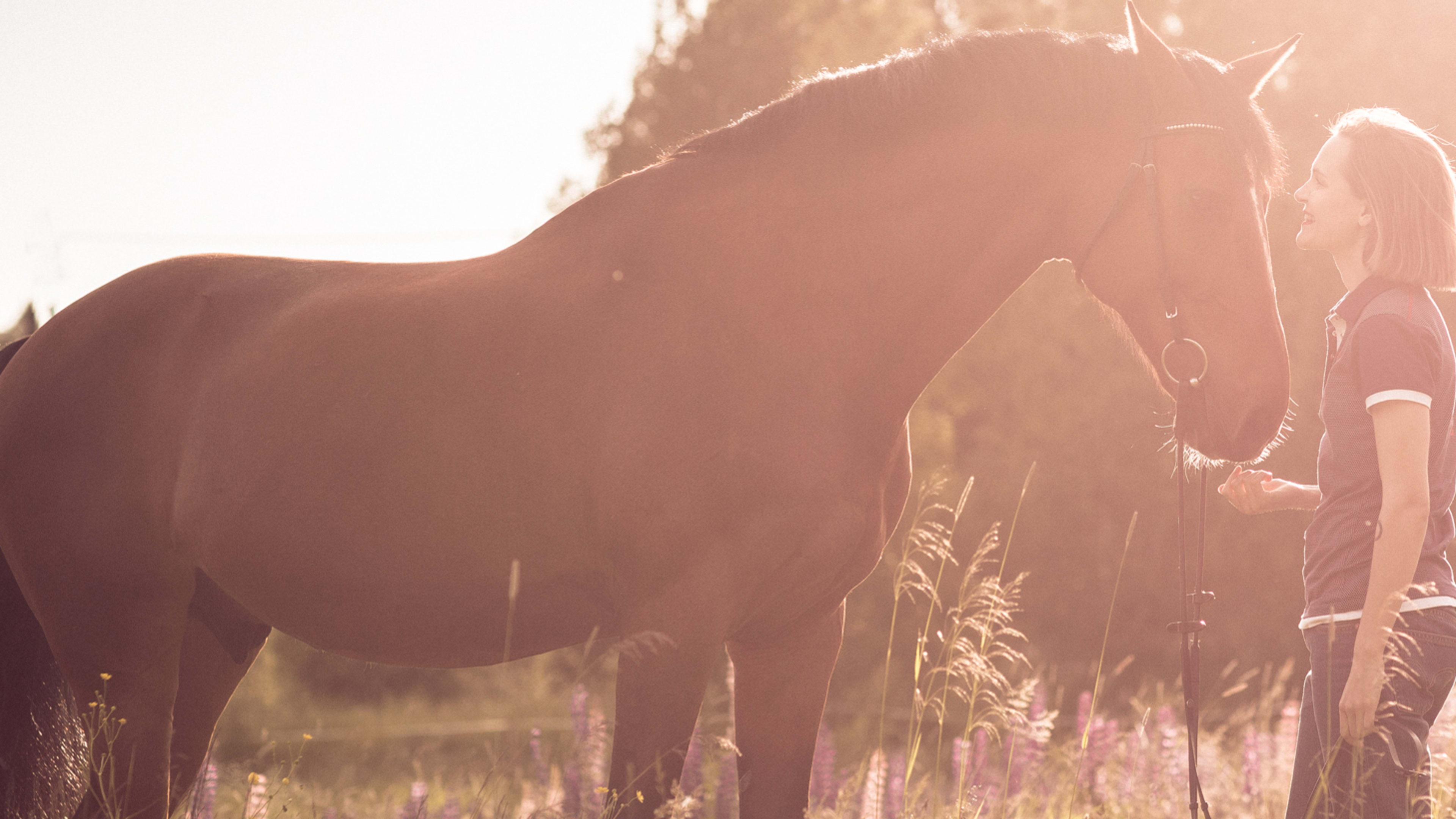 Ystäväni hevonen | Yle Areena
