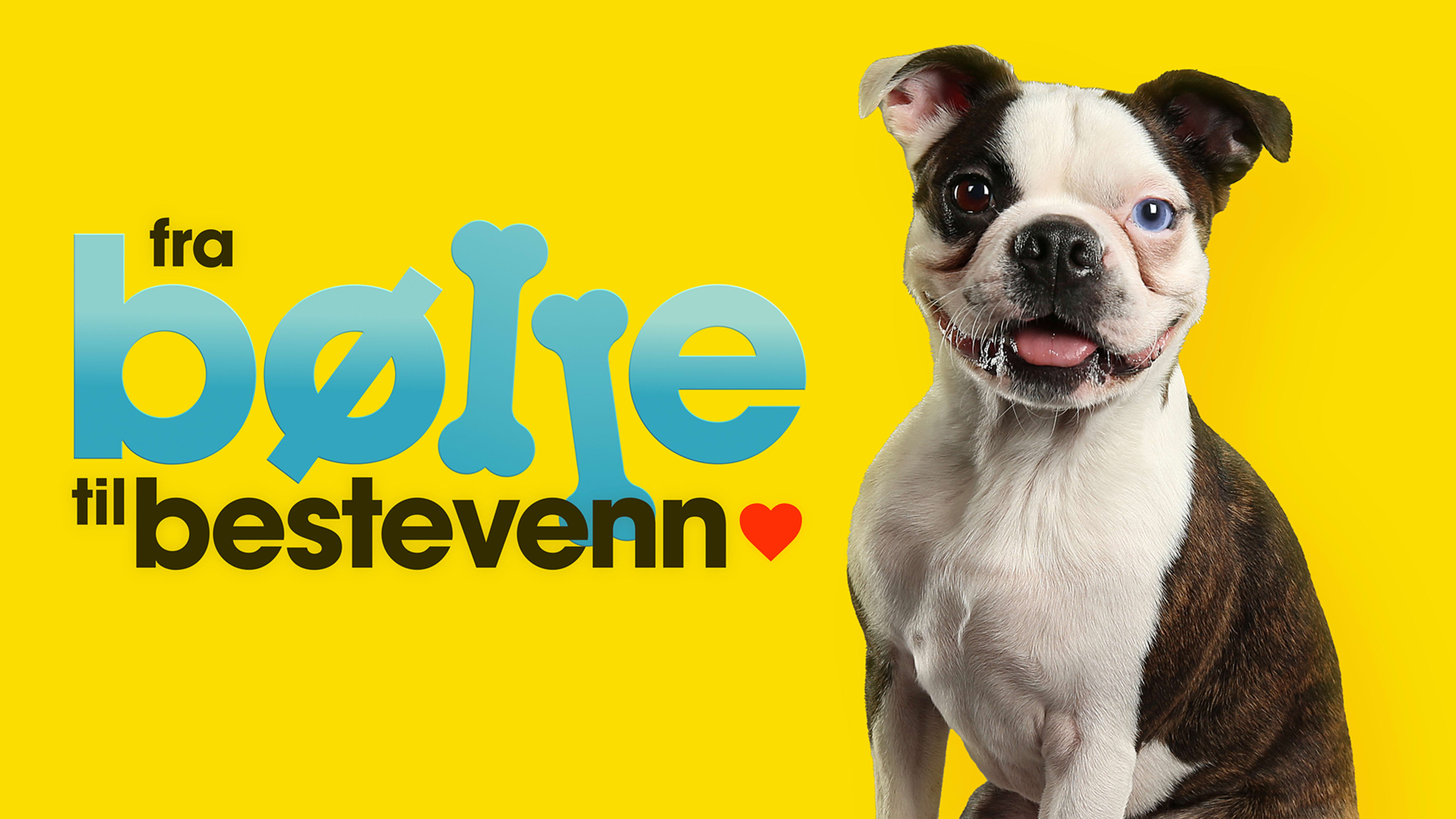 k5-j1-lasten-astiasto-suuri-keramiikkakisa-yle-areena