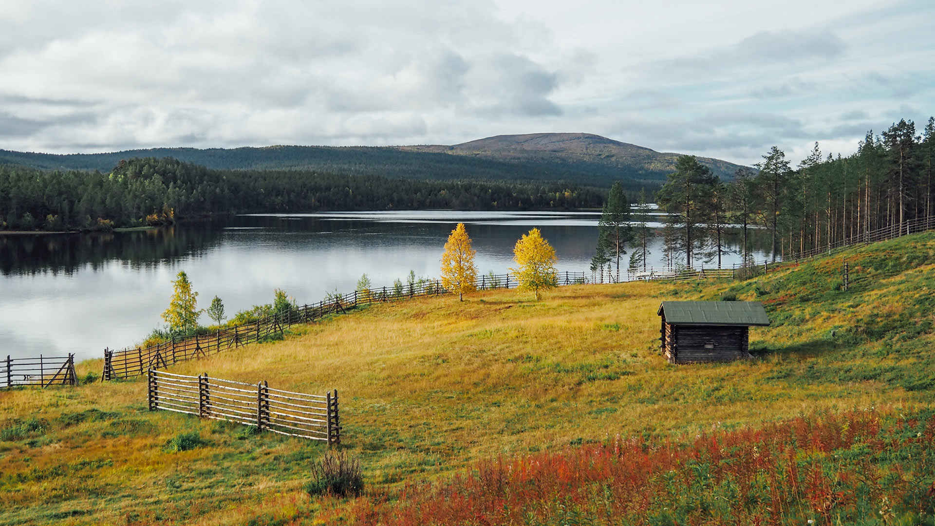 K1, J8: Lemmenjoki ja mahtiseidat | Metsien kätkemä | Yle Areena