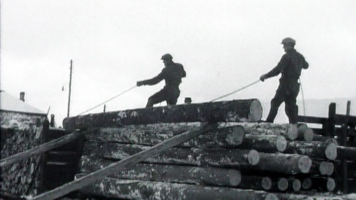 Mets st Maailmalle 1949 Yle Areena