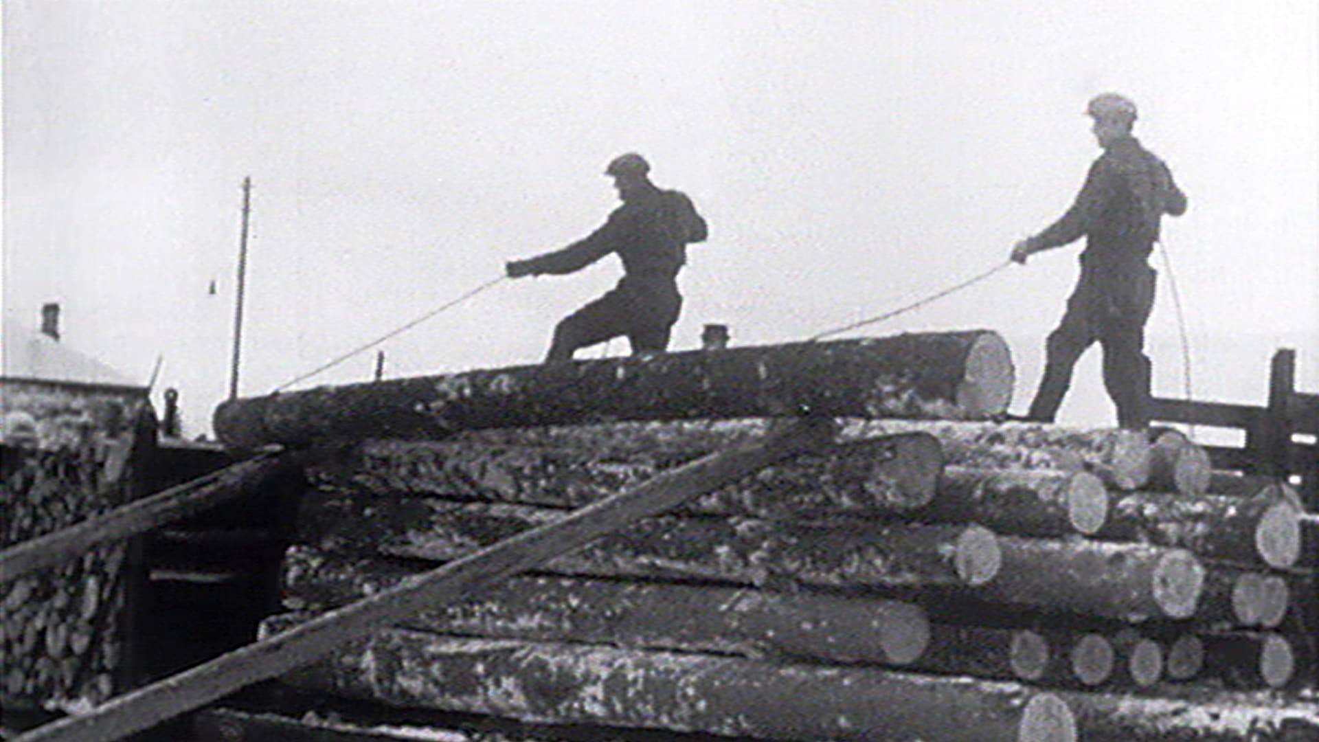 Metsästä maailmalle Yle Areena