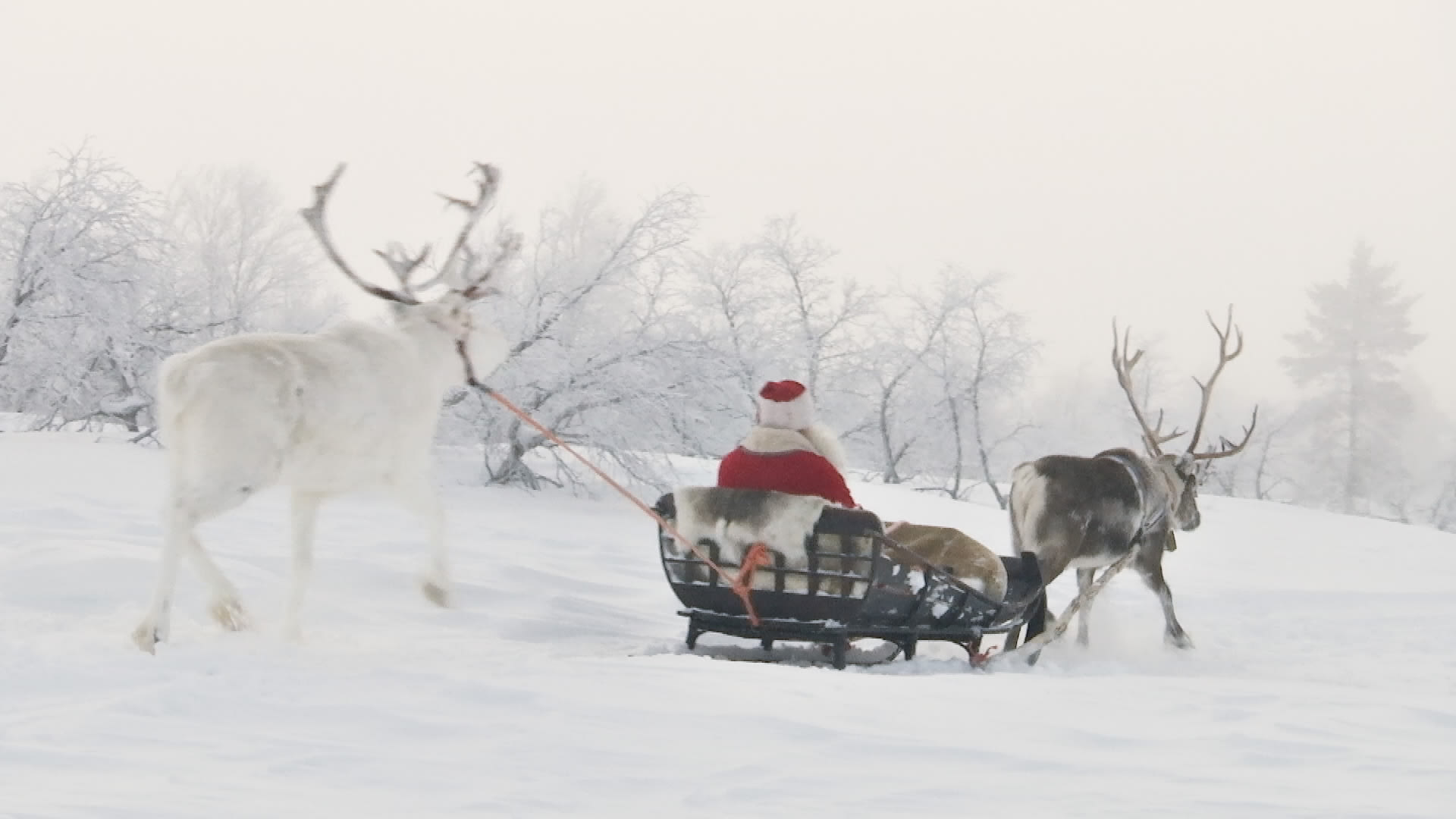 Joulupukki lähti matkaan Korvatunturilta | Uutisvideot 2018 | Yle Areena