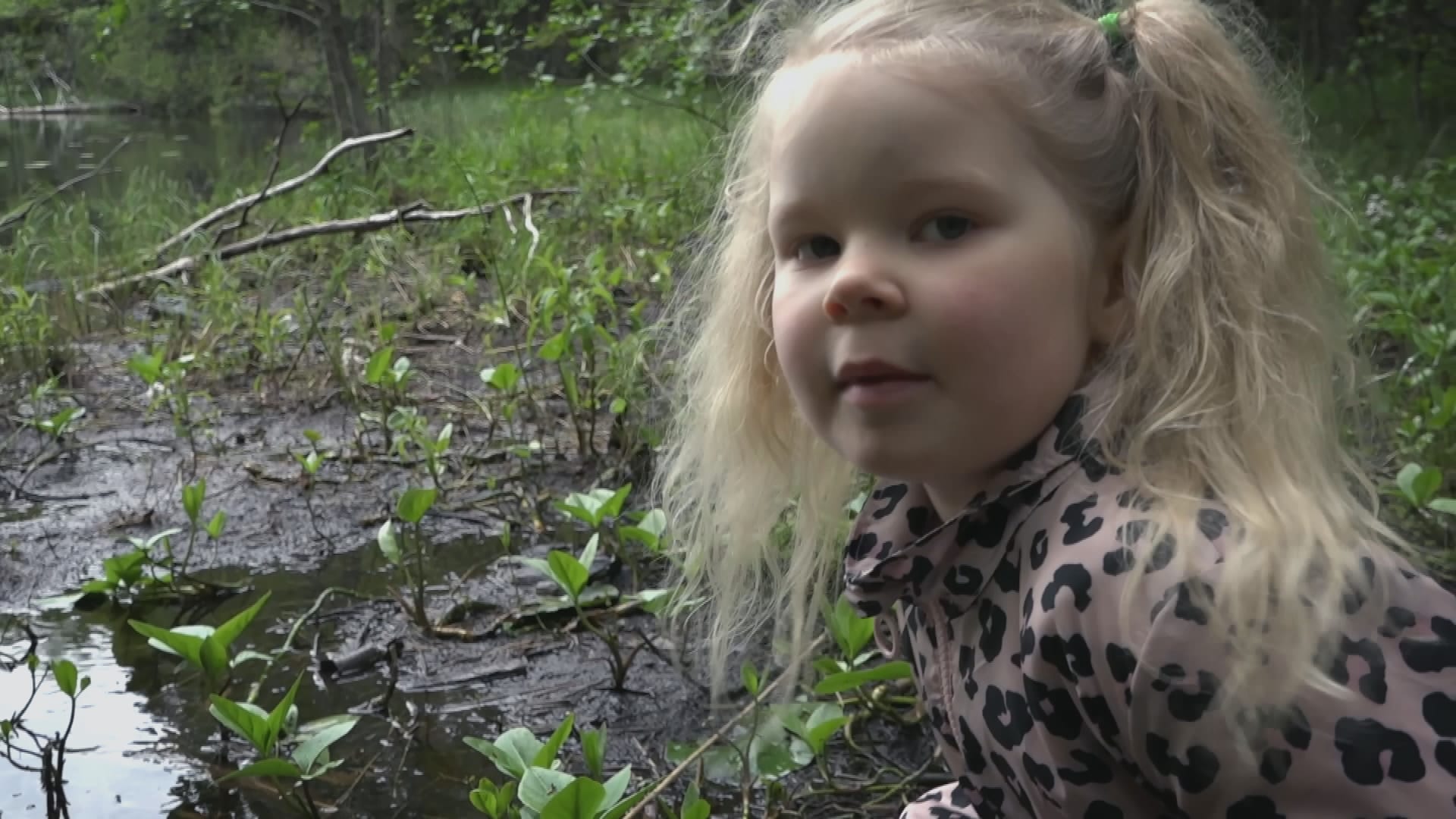 Luontotutkija Helmi | Pikku Kakkonen: Pikkupalat | Yle Areena