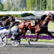Cokstile Elitloppetissa 2020.