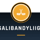 SALIBANDYLIIGA