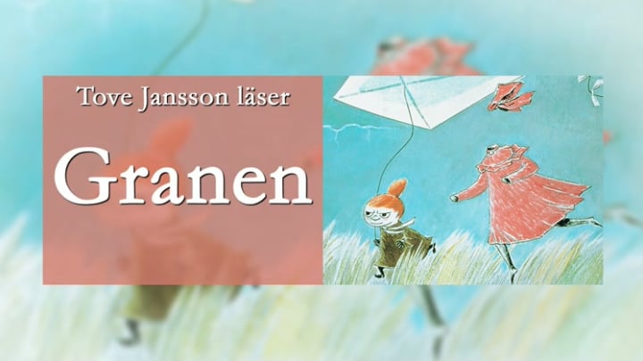Previewbild
