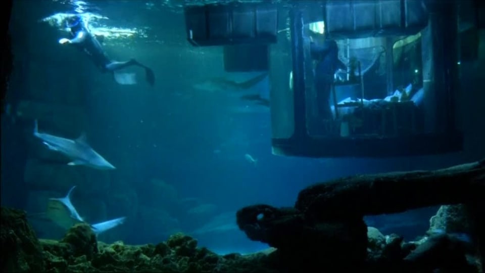 Playboy kartano orgioita