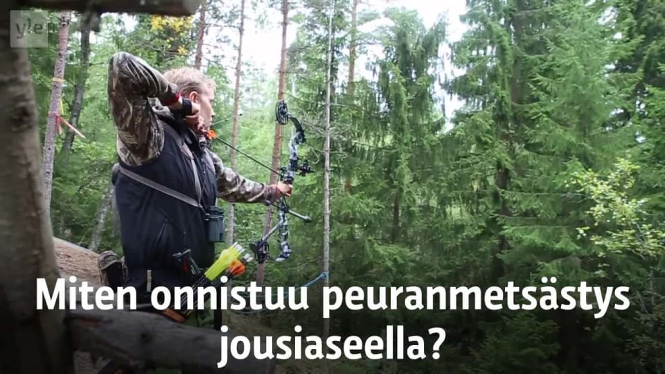 Peuran Metsastys Onnistuu Nyt Myos Jousella Laki Muuttui Elainsuojelujarjestot Vastustavat Yle Uutiset Yle Fi