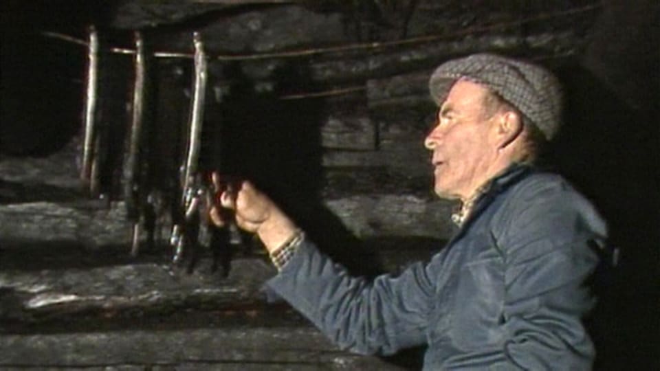 syntymä päivä suihin ajeltu pillu laukausta