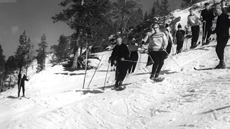 Puut pois ja laskettelemaan – alppihiihto tuli Suomeen 1930-luvulla | Elävä  arkisto 