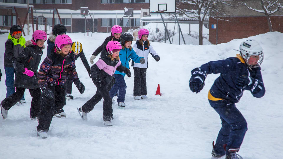 Bade Valjarna Och Kandidaterna Koper Grisen I Sacken I Valet I April Nu Kor Vi Bara Och Sa Ser Vi Efterat Om Det Var Modan Vart Inrikes Svenska Yle Fi Bade Valjarna Och Kandidaterna Koper Grisen I Sacken I Valet I April Nu Kor Vi Bara Och Sa Ser Vi Efterat Om Det Var Modan Vart Inrikes Svenska Yle Fi