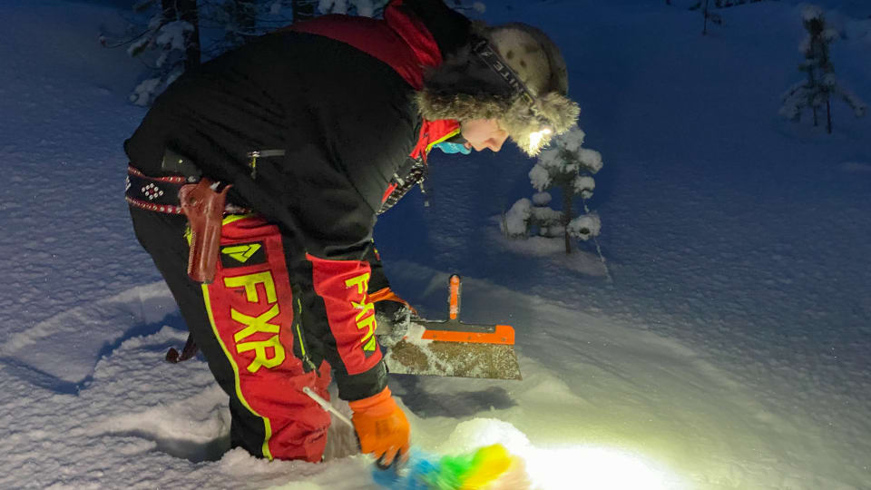 Antti Heikkonen houkuttelee ketut jalkanaruihin ja saa tapporahaa –  kairojen kannibaalia pyydetään Lapissa uhanalaisen naalin pelastamiseksi