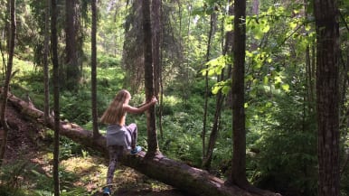 tyttö kulkee metsässä