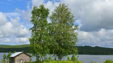 ilmaista seksiä verkossa ruskea vuoto yhdynnän jälkeen ilmaista seksiä verkossa ruskea vuoto yhdynnän jälkeen