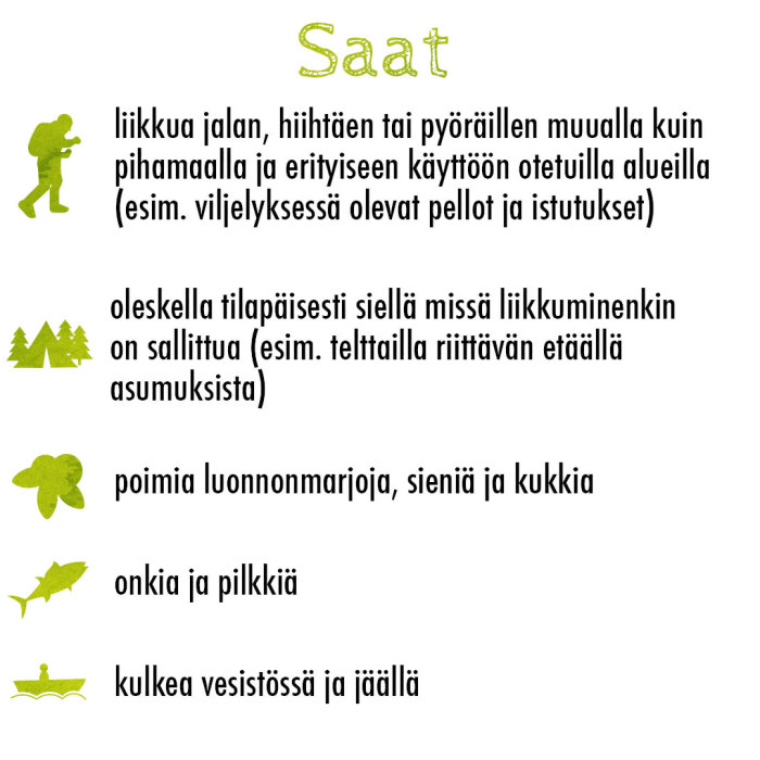 Suomalaiset jokamiehenoikeudet – maailman laajimmat oikeudet mennä metsään!  | Luonto 