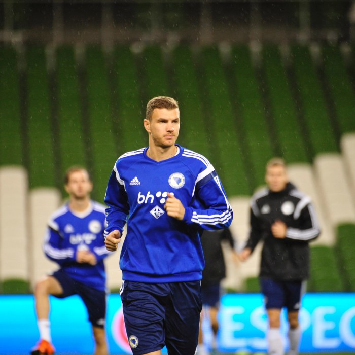 Aston villa kader 2010