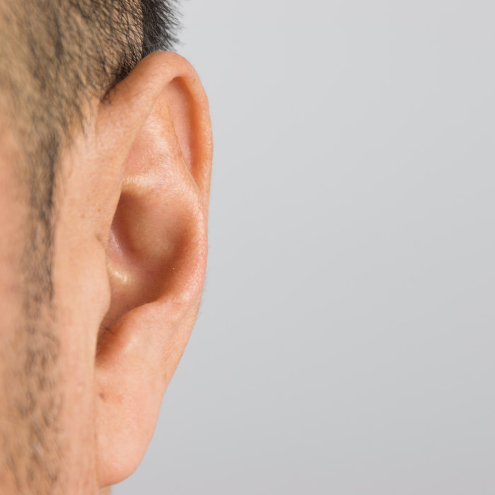 Dasha ruiskuttaminen