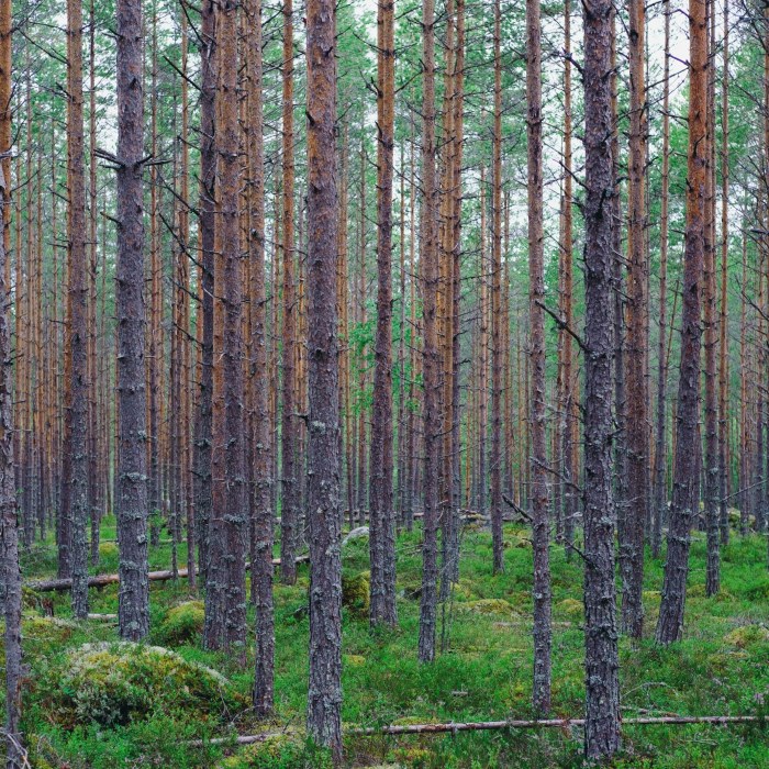 Motion är till stor nytta för din hjärna - förbättrar minnet och