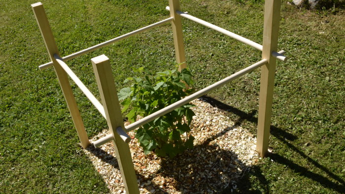 Rakenna yksinkertainen pensastuki rimoista ja pyörösauvoista | Puutyöt |  Strömsö 