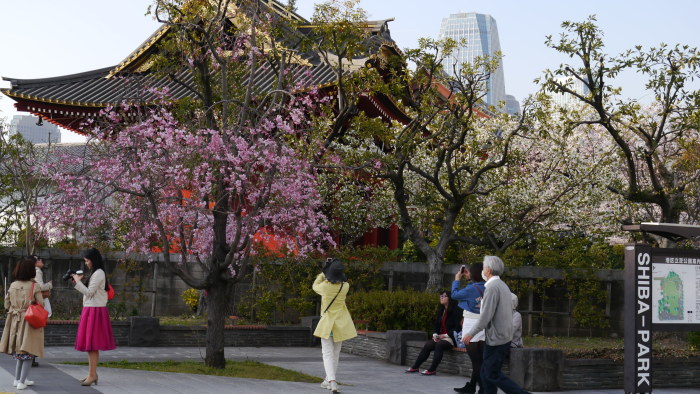 dejtingsajter i Japan för utlänningar telefon dating linjer