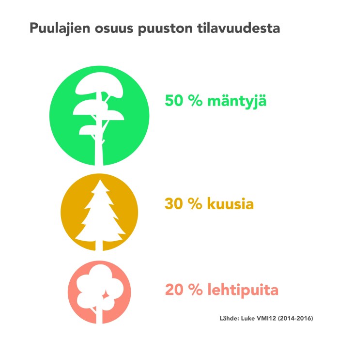 Suomi on Euroopan metsäisin maa! Tutki, miltä hiilinielumme näyttää  numeroina | Oppiminen 