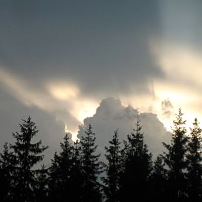 Kuvassa pilvinen taivas ja puita