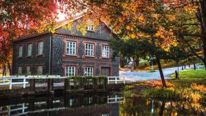 Ian Granström förevigade hösten i Fiskars. Bild på hus i Fiskars, solen skiner bakom det och löven är orangefärgade.