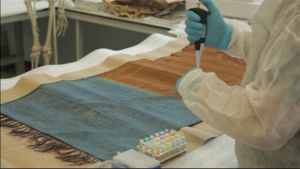 Den här sjalen hade burit på DNA-ledtrådar i över hundra år. Den här blodfläckiga sjalen hade gömt DNA-ledtrådar i över hundra år.