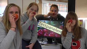 Testpanelen består av Lotta Karlsson, Frida Granroth, Anna Käki och Susanna Oitola från Lyceiparkens skola i Borgå. Testpanelen