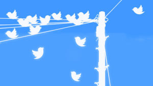 Twitter-lintuja langalla