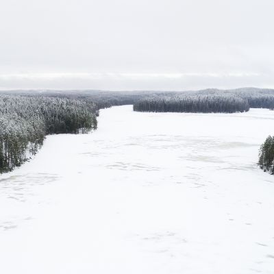 Pirkanmaan uusin kansallispuisto sijaitsee Kuhmoisissa