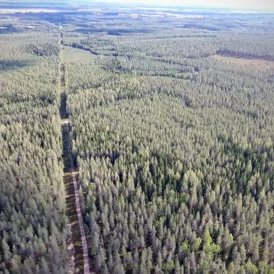 Kurikassa piilossa maaperän kerrostumissa lepää ainutlaatuinen pohjavesiesiintymä. Sitä on tutkittu jo kymmenen vuoden ajan ja ehkä saman verran tutkittavaa on vielä edessä.