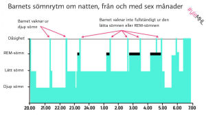 Barnets sömnrytm om natten fr 6-12 mån.