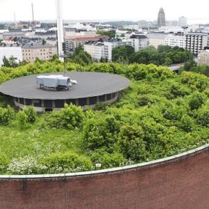 Linnanmäen vesitornin katolla kasvaa metsä