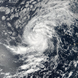 Irma har vuxit till kategori fyra, den näst högsta på orkanskalan Irma har vuxit till kategori fyra, den näst högsta på orkanskalan