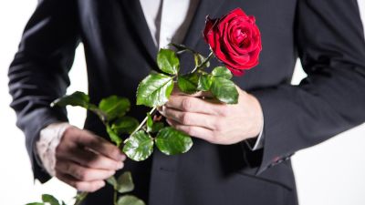 Bachelor Suomi huipentuu tänään – psykologi arvioi, mitä ohjelmaan  osallistuvilta naisilta vaaditaan | YleX 