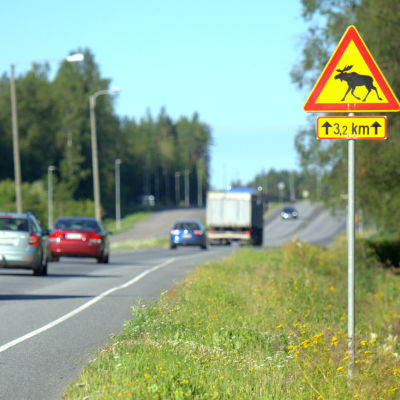 Älgvarning vid förlängningen av Smedsby omfartsväg.