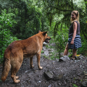 Människomöten är viktiga. Djurmöten är inte heller fy skam. En kvinna står i en skog och tittar på en stor hund som står bredvid henne.