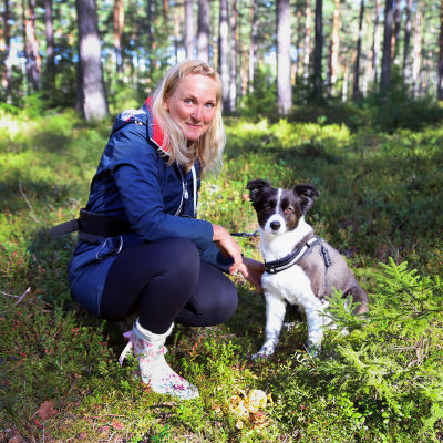 Koiranomi Paula Speer on kouluttanut bordercolliensa Winin etsimään sieniä.