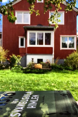 Kjell Westös Den svavelgula himlen är Claes Olssons nästa projekt. Hans hus i bakgrunden Utanför Claes Olssons hem