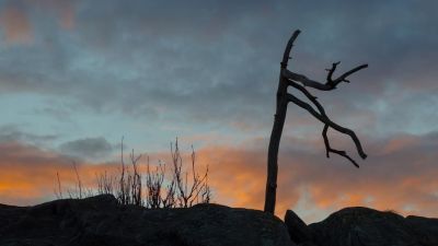 "Dit", fotograf Åsa Törnroth-Melander (Åbo)
