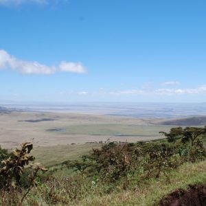 Savannlandskap i Tanzania.