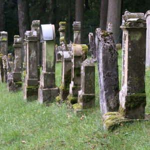 Den judiska begravningsplatsen är ett tecken på att det judiska inflytandet har varit starkt i Ermreuth. Gravstenar på den judiska begravningsplatsen i Ermreuth