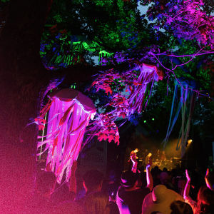 Kesärauha-festivaalin värikkäät koristeet yöllä värivaloissa. Kuvan vasemmassa reunassa pinkkejä, muovipintaisia hapsukoristeita roikkuu puusta. Kuvan keskellä näkyy yleisöä ja kauempana lavalla tunnistamaton artisti esiintyy.