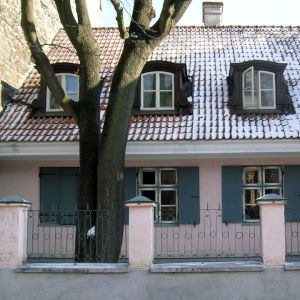 Vaaleanpunainen talo Tallinnassa