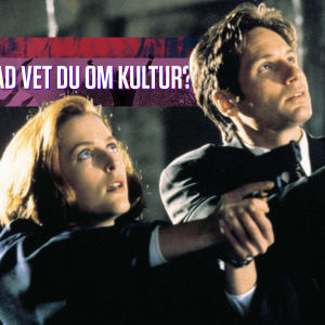 Man och kvinna pekar med pistoler i X-Files serien.